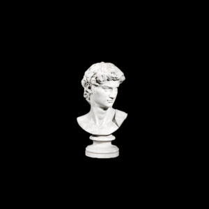 JBS204 Marble Bust of David Sculpture by Metropolitan Galleries Inc