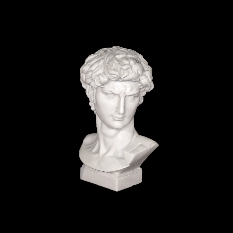 JBS208 Marble Bust of David Sculpture by Metropolitan Galleries Inc