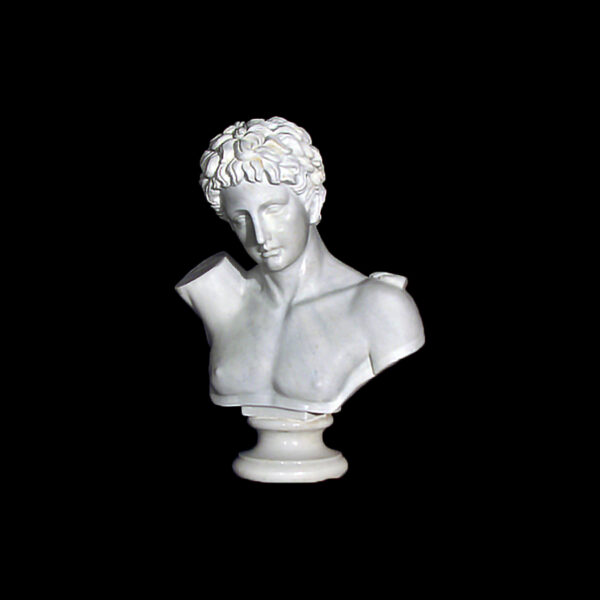 JBS212 Marble Bust of Roman Male Sculpture by Metropolitan Galleries Inc